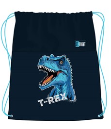 SHOEBAG ST BLUE TREX (SO-01)