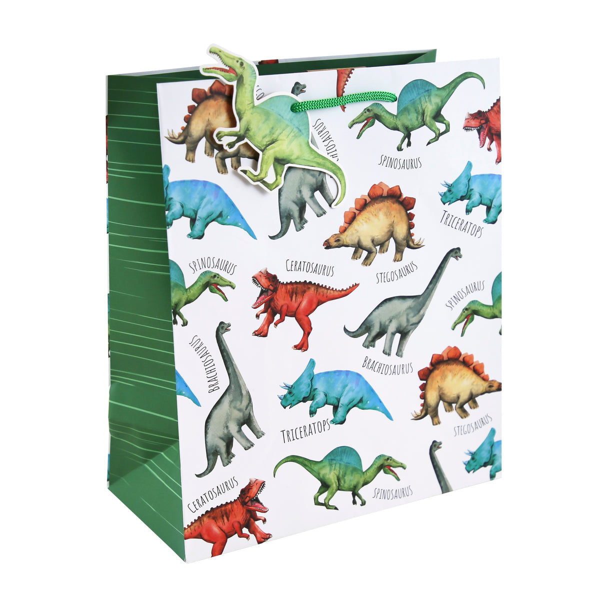 GIFT BAG DINO LARGE (35359-2C)