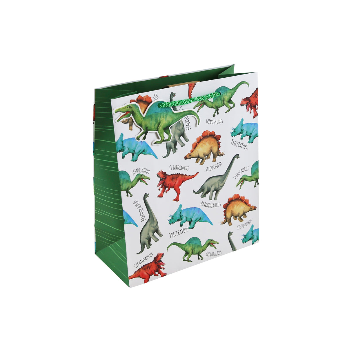 GIFT BAG DINO MEDIUM (35359-3C)