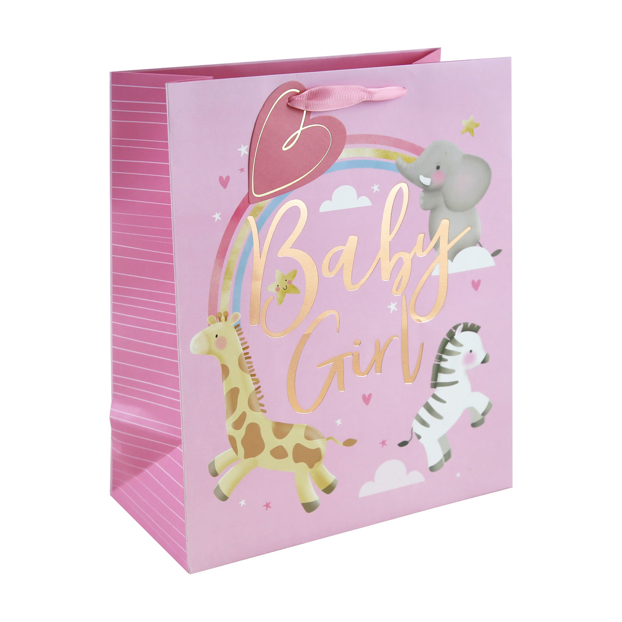 GIFT BAG FSC BABY GIRL LRG (35386-2C)