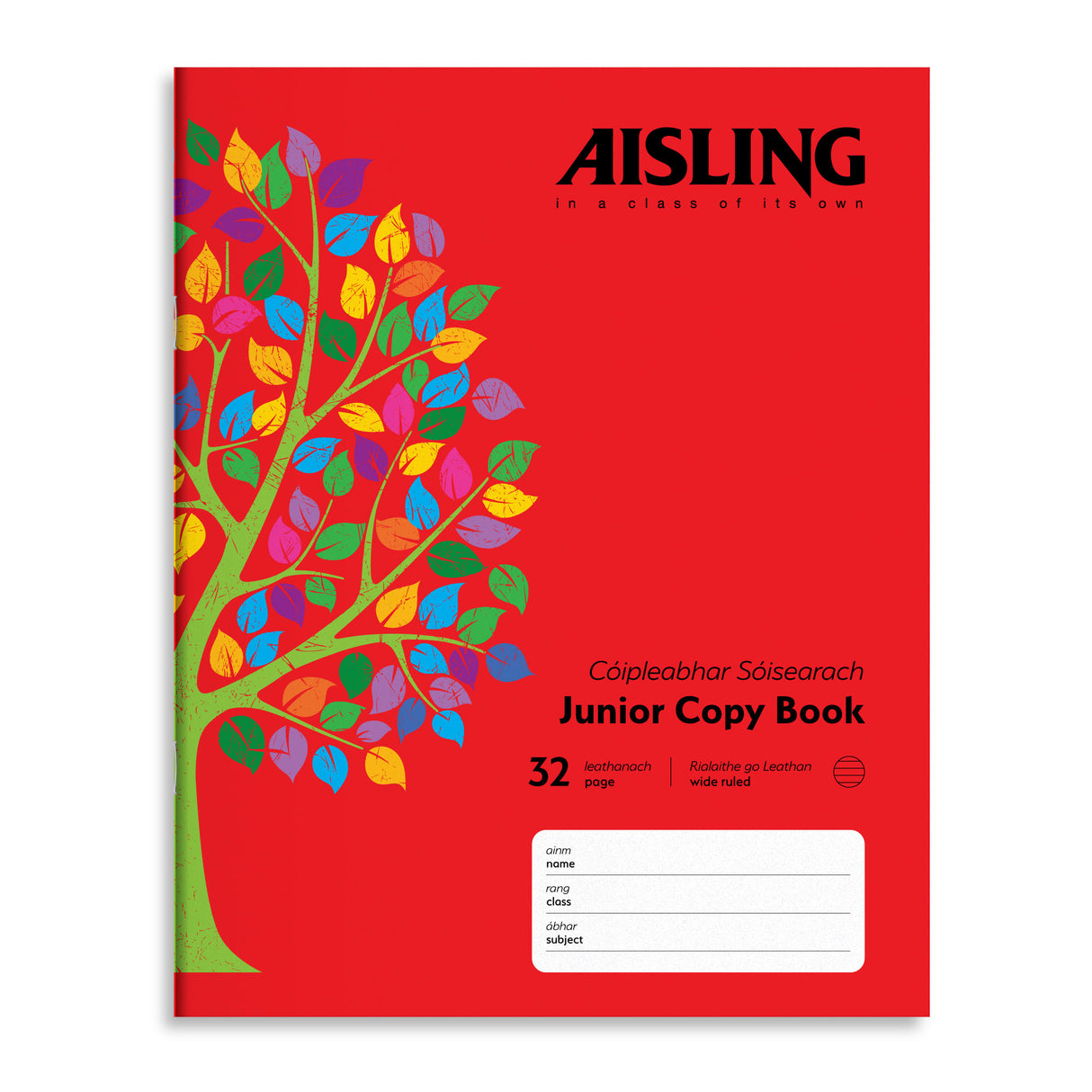 AISLING JUNIOR 10M WRITING COPY (ASJ08)