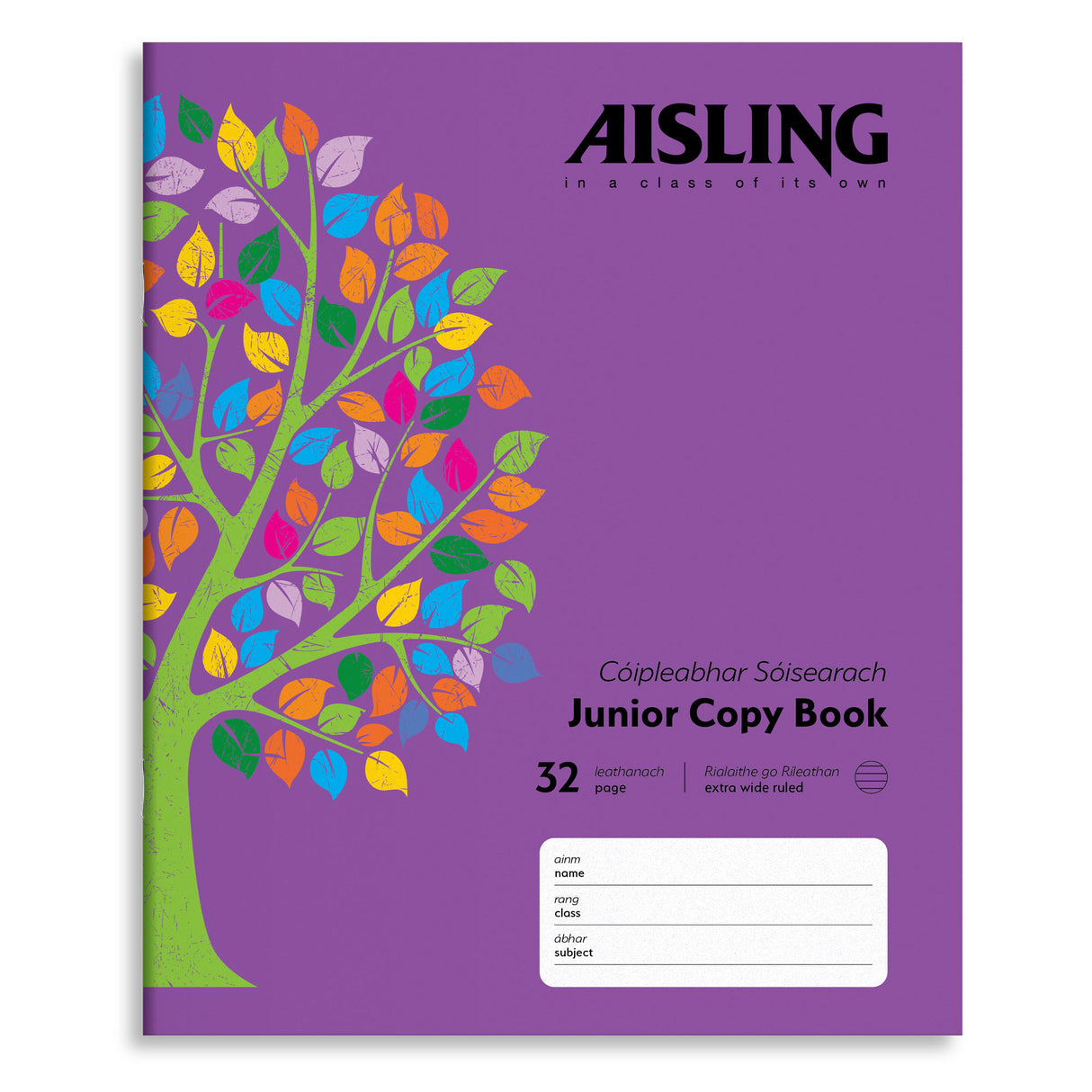 AISLING JUNIOR 15MM WRITING COPY (ASJ09)