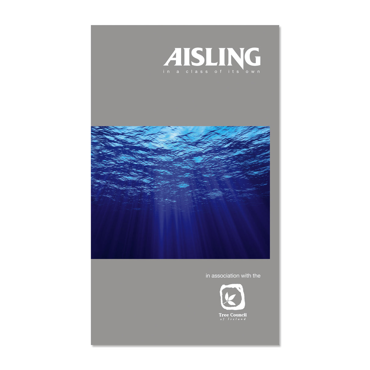 AISLING 100PG NOTEBOOK 160X100 (ASNB4)