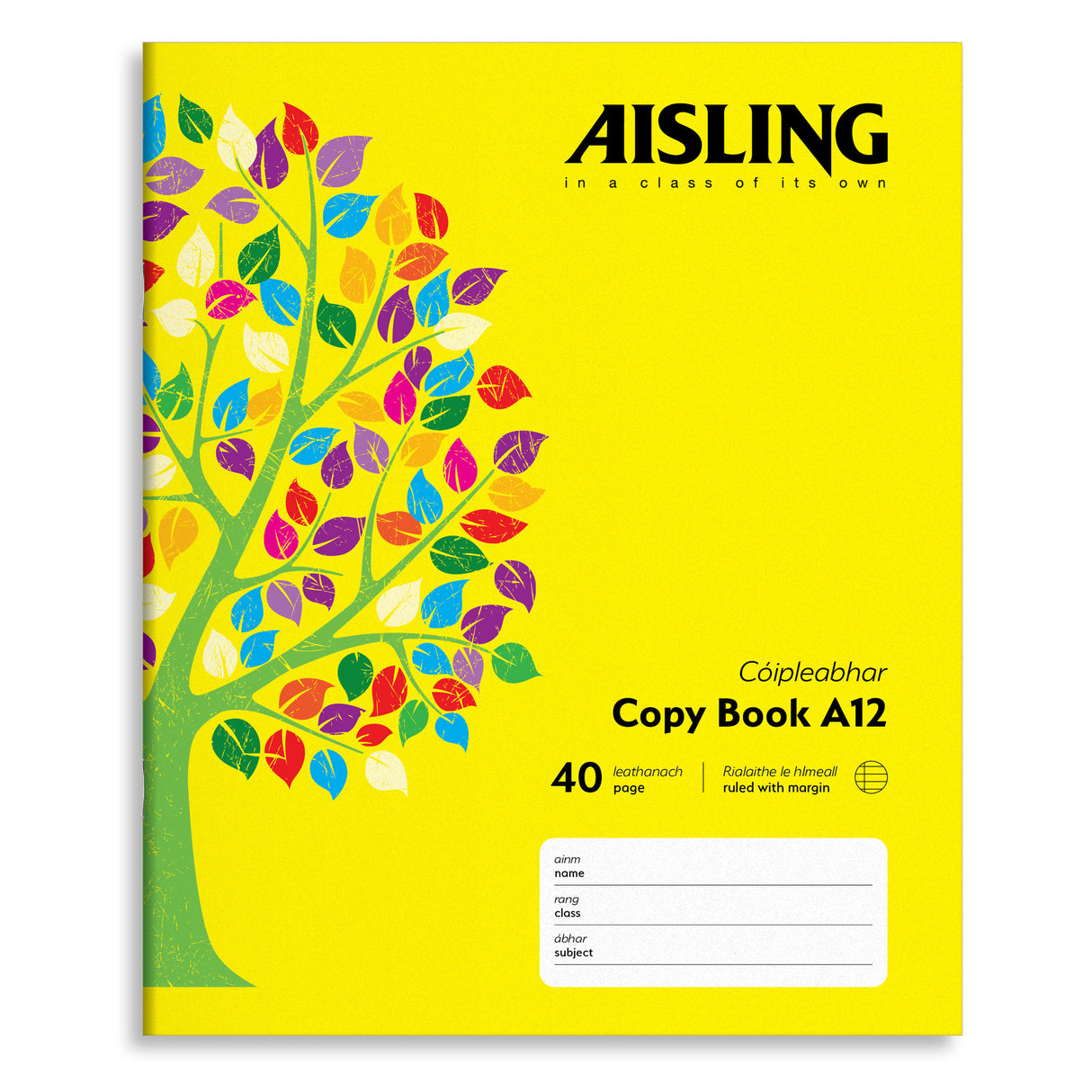 AISLING 40PG WRITING COPYBOOK (ASX2)