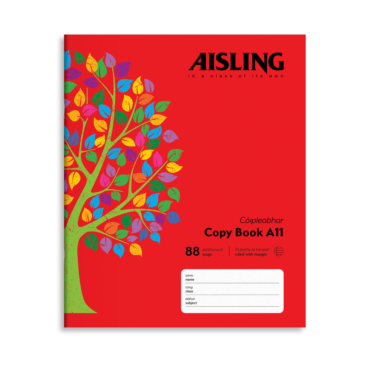 AISLING COPYBOOK 88PG WRITING (ASX6)