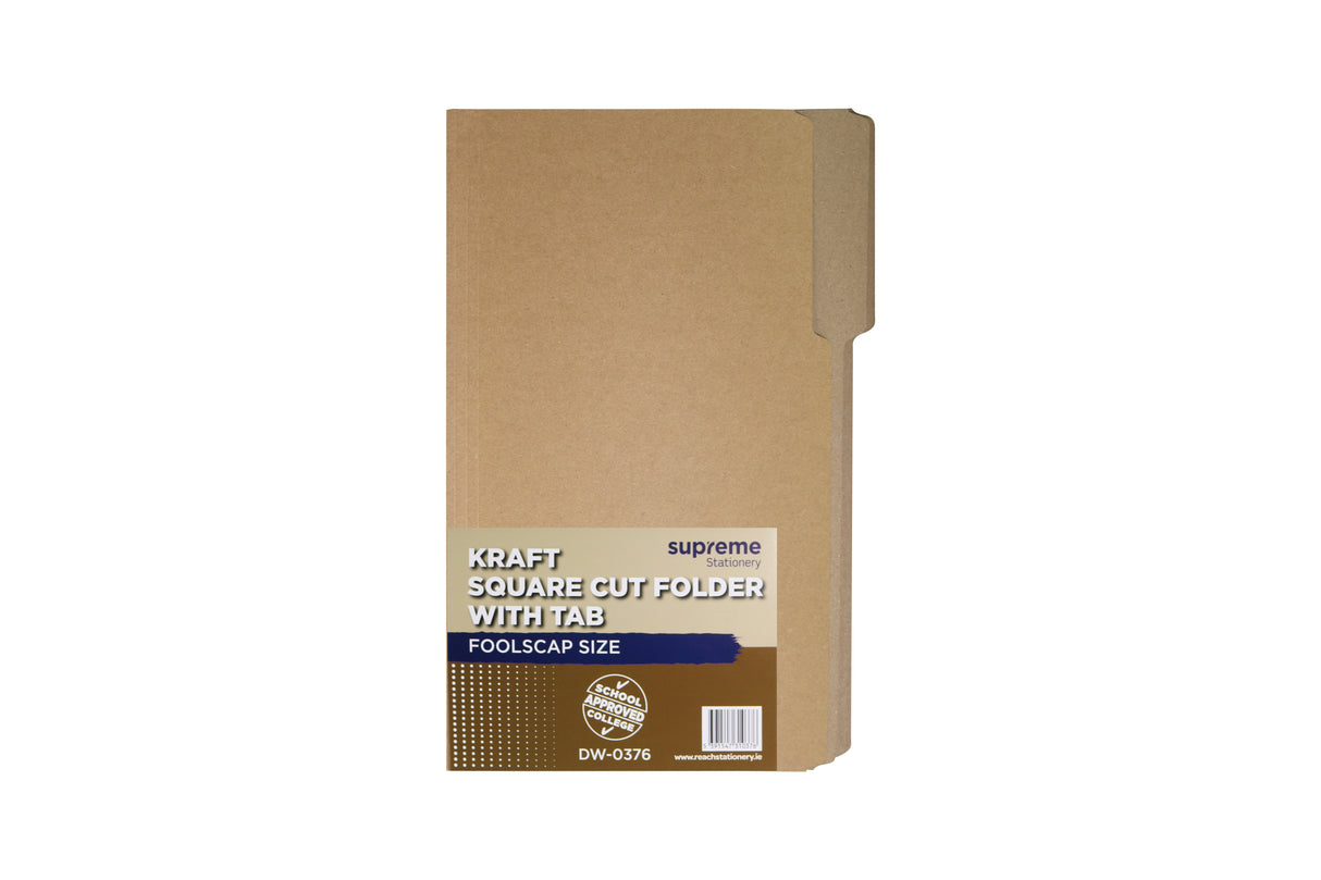 SQUARE CUT FOLDER TAB PK100 (DW-0376)
