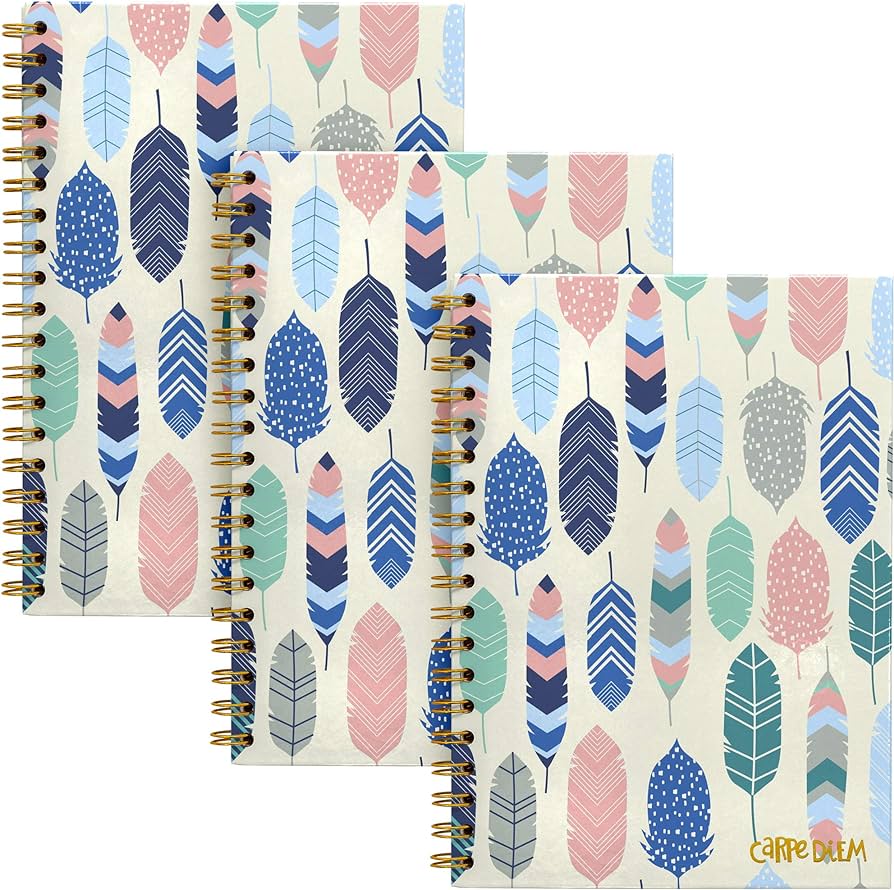 CARPE DIEM B5 SPIRAL HB FE (9379-CD)