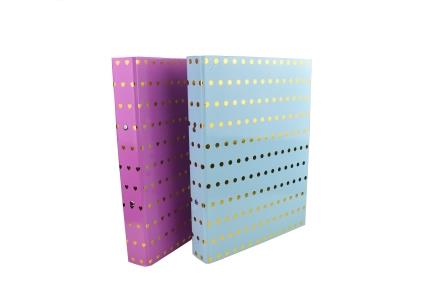 RINGBINDER A4 DOT DESIGN (RB-4395)