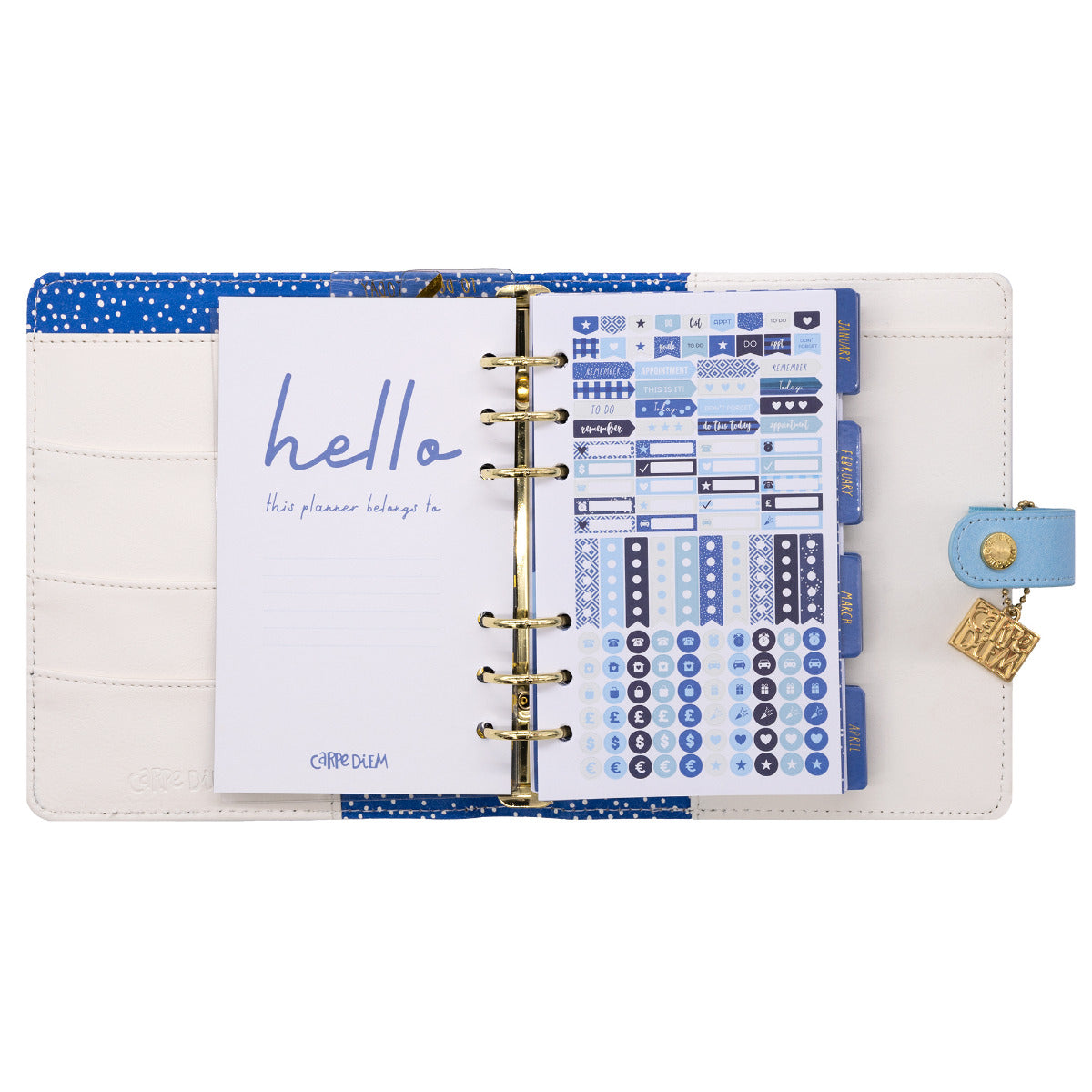 CARPE DIEM PERSONAL PLANNER FT (9210-CD)