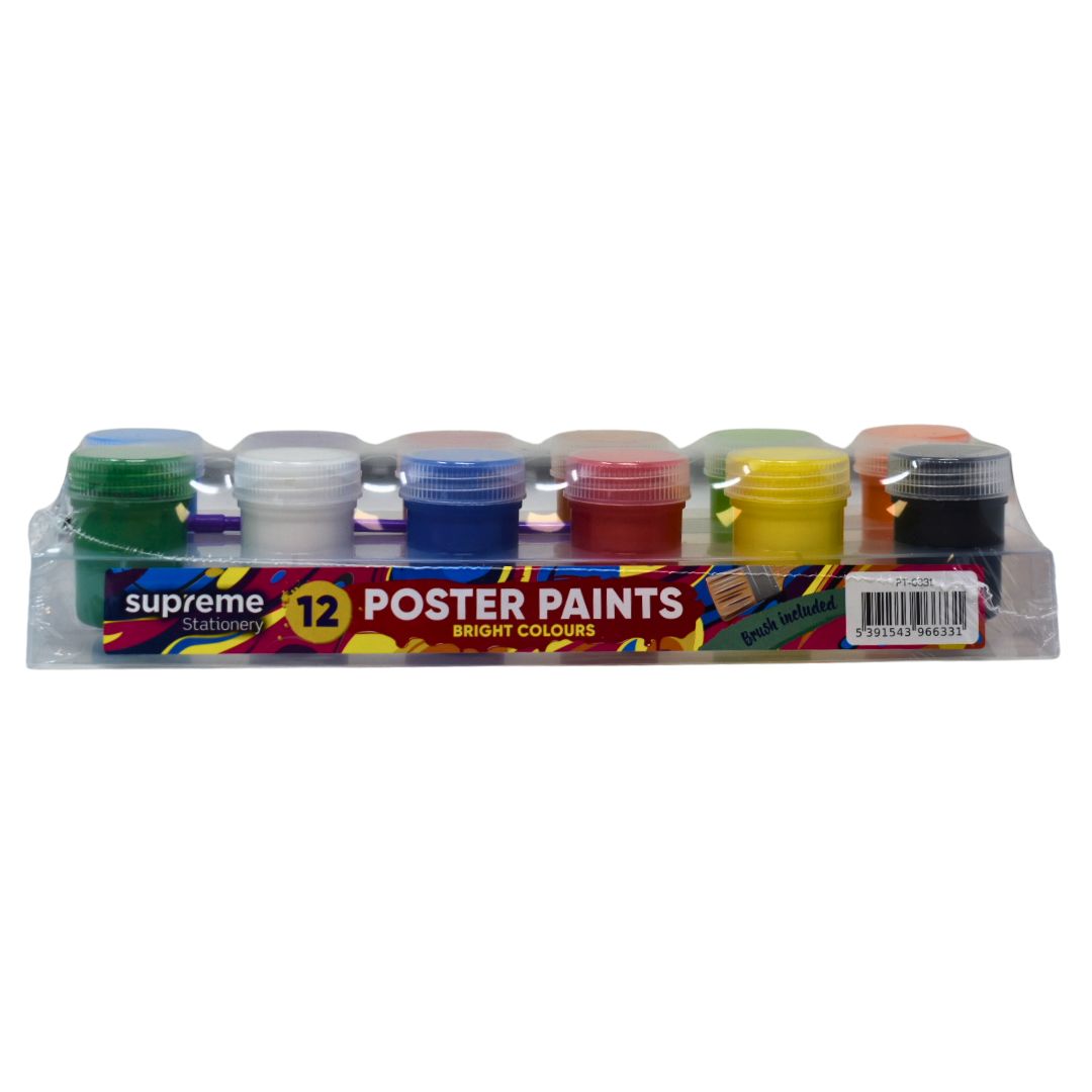 20G 12COLOUR PAINT + BRUSH (PT-6331)