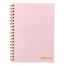 CARPE DIEM B5 SPIRAL HB PINK (9376-CD)