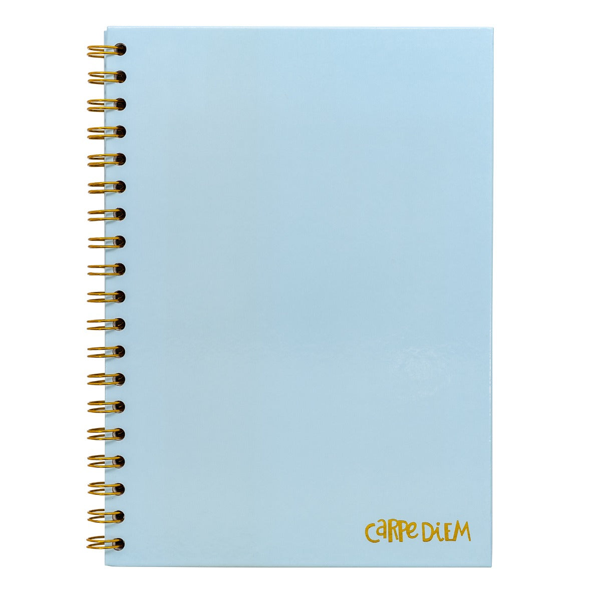 CARPE DIEM B5 SPIRAL HB BLUE (9378-CD)
