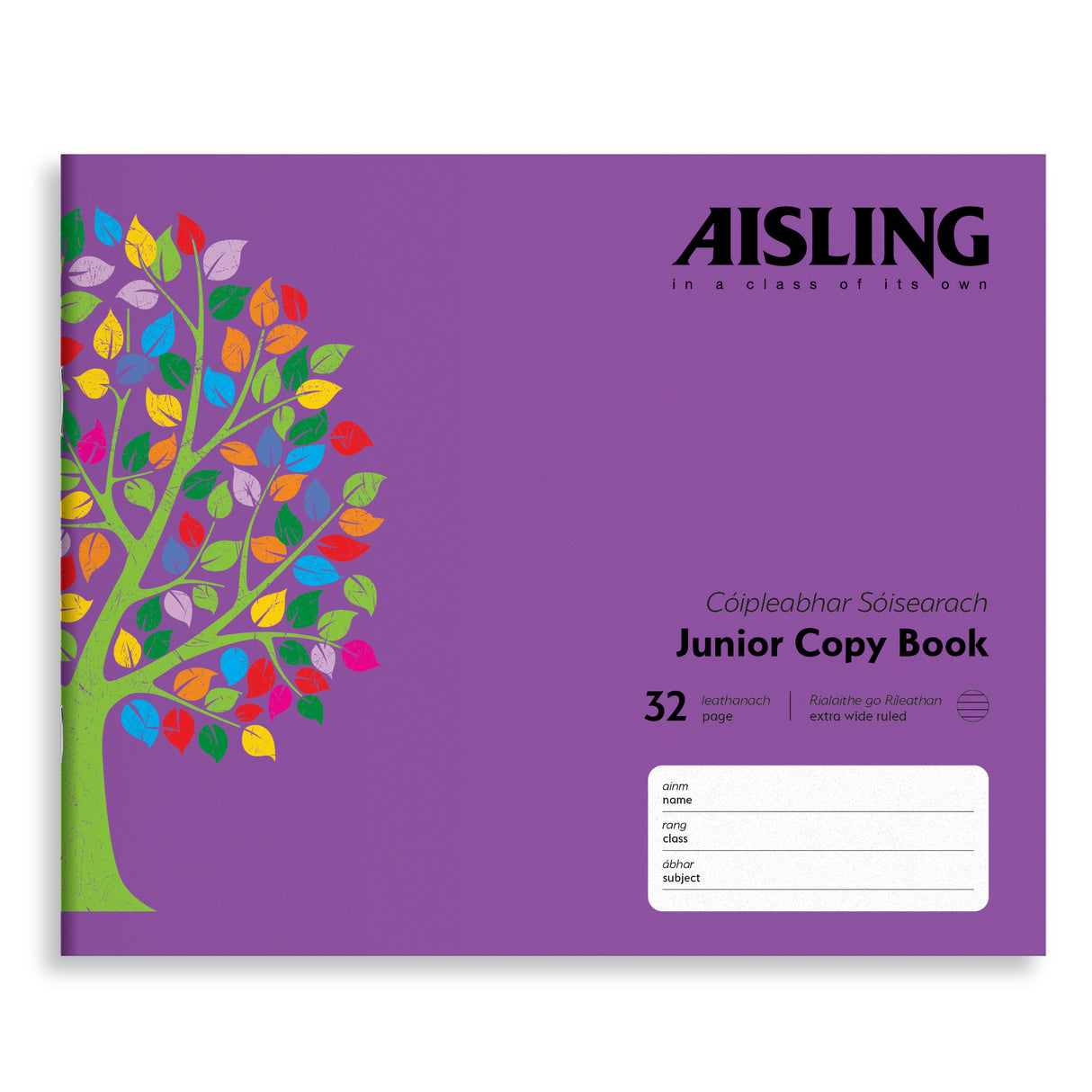 AISLING JUNIOR 15MM WRITING COPY (ASJ10)