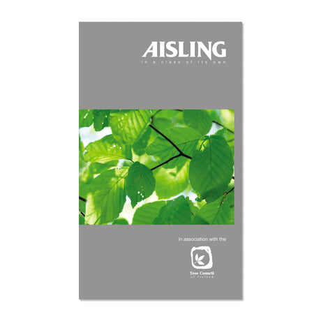 AISLING 100PG NOTEBOOK 160X100 (ASNB4)