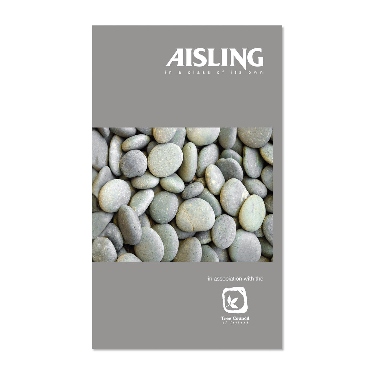 AISLING 100PG NOTEBOOK 160X100 (ASNB4)