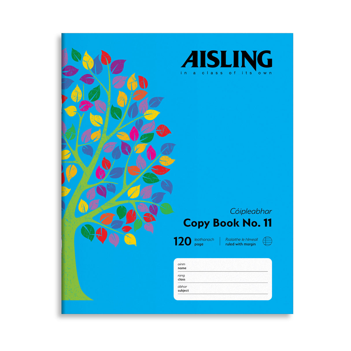 AISLING COPYBOOK 120PG WRITING (ASX7)