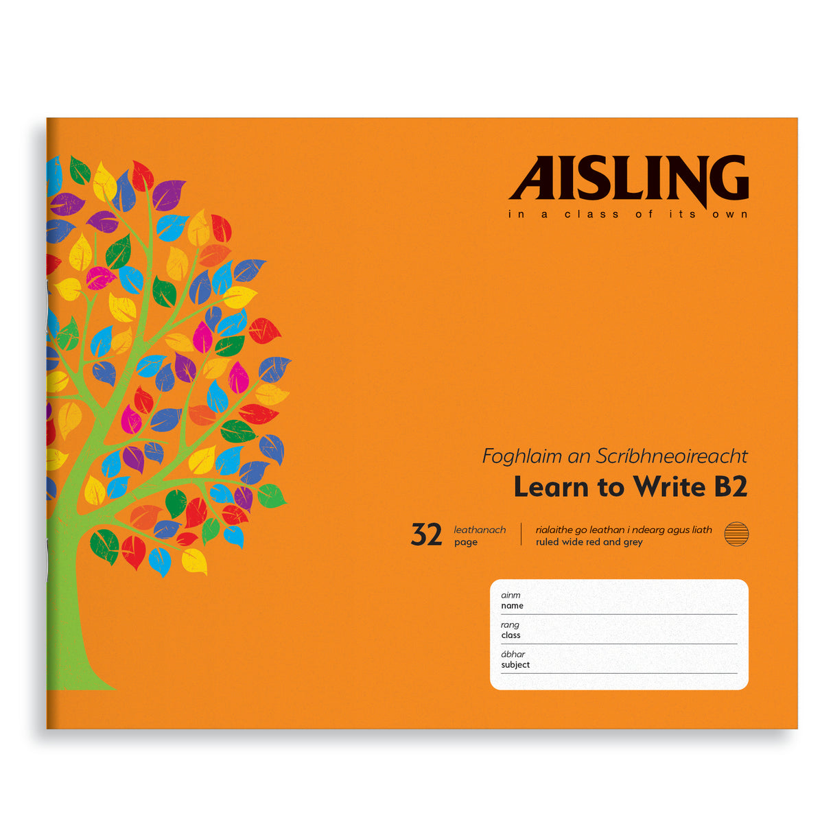 AISLING LEARN TO WRITE B2 32PG (ASXB2)