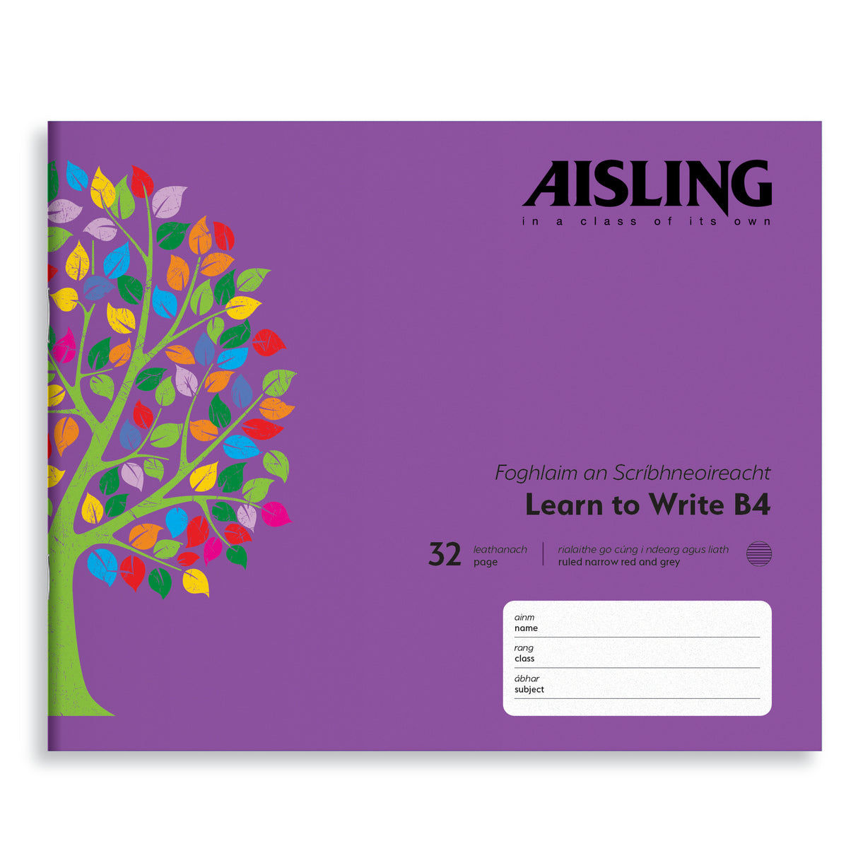 AISLING LEARN TO WRITE B4 32PG (ASXB4)