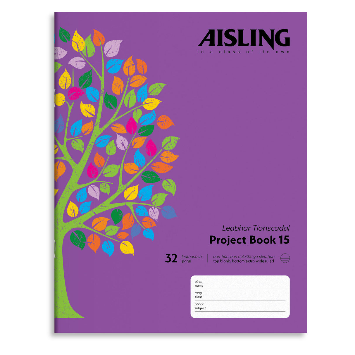 AISLING JUNIOR PROJECT 15 COPY (ASXP15)