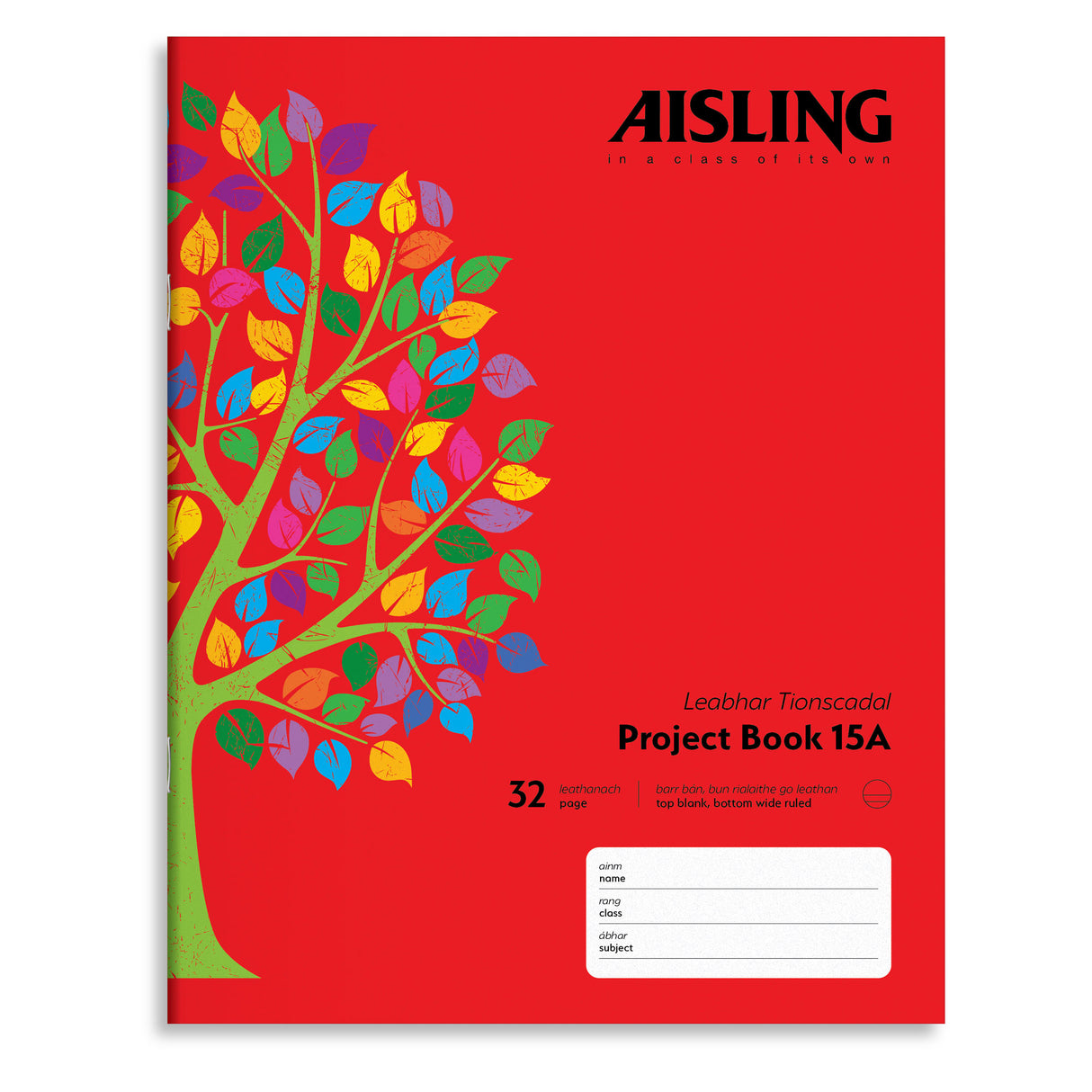AISLING JUNIR PROJECT 15A COPY (ASXP15A)